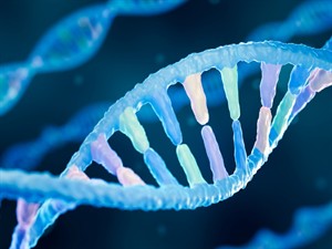 Shutterstock_2476853469_DNA_DNS.jpg