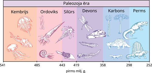 YCUZD_230824_5481_paleozoja ēra.png
