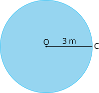 YCUZD_240624_6382_radiuss_23.png