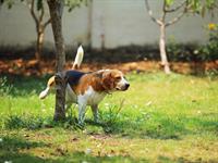 shutterstock_1371214313.jpg