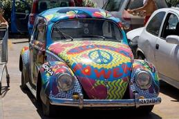 12 1024px-Hippie_bug!_(1043753793).jpg