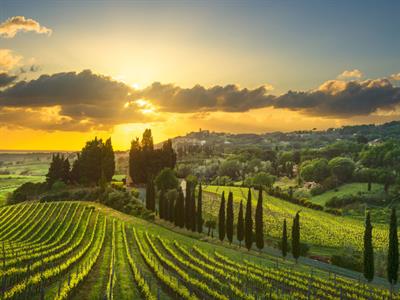 Shutterstock_1263432439_toscana_toskāna.jpg
