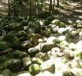 Copy of P1010025.JPG