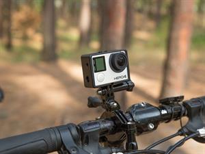 savanterpro  Shutterstock.jpg