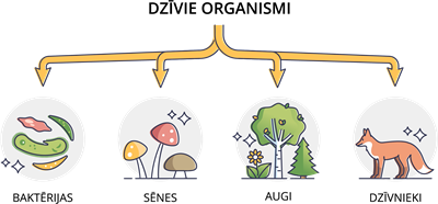 YCUZD_221117_4726_dzīvie organismi.png