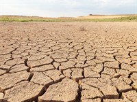 Shutterstock_1903456330_Dry and cracked land_Sausa un saplaisājusi zeme.jpg