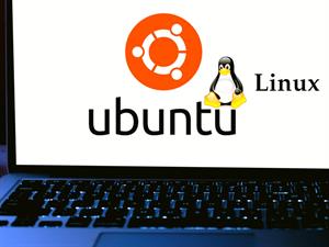 DANIEL CONSTANTE Shutterstock.jpg