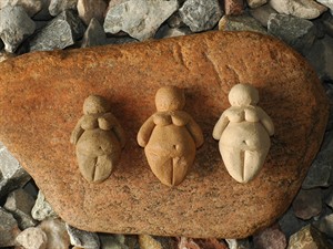 shutterstock_865914_venus_venēras.jpg