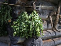 shutterstock_2639232517_birch vantas sauna whisks_bērzu pirts slotas.jpg