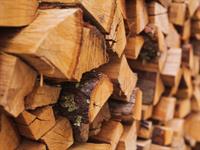 Shutterstock_1145943074_firewood_malka.jpg