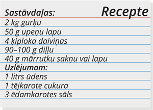 YCUZD_260728_8391_recepte.png