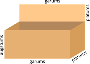 YCUZD_260303_8049_kaste ar vāku_1.png