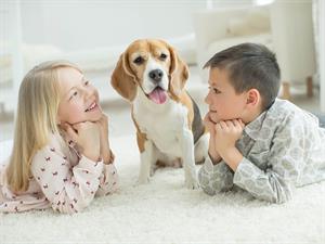 shutterstock_667311532_kids watching dog_bērni vēro suni.jpg