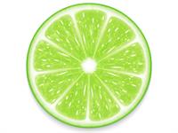 Shutterstock_281298479_lime slice_laima šķēle.jpg