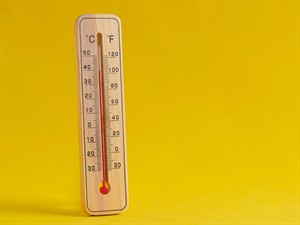 shutterstock_2353829523_Wooden outdoor thermometer_Koka āra termometrs.jpg