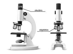 Mikroskops ar palielinājumu.png