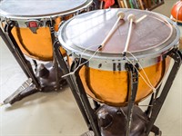 Vivida Photo PC Shutterstock_timpani_timpāni.jpg