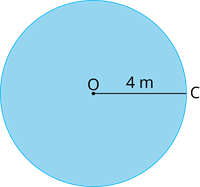 YCUZD_240624_6382_radiuss_21.png