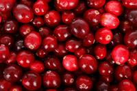 backdrop-22024_1920_klukva_cranberry.jpg