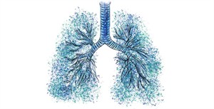 Shutterstock_2108016743_lungs illustration_plaušu ilustrācija.jpg