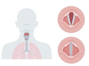 shutterstock_2271479993_vocal cords_balss saites.jpg