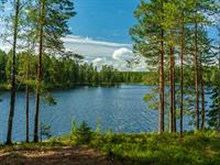 Shutterstock_1932876887_lake_ezers.jpg