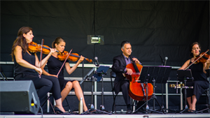 Vincent JIANG   Shutterstock.png