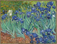 WIKI_20260318_Irises-Vincent_van_Gogh.jpg