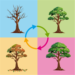 YCUZD_260518_8230_koku_cikls.png