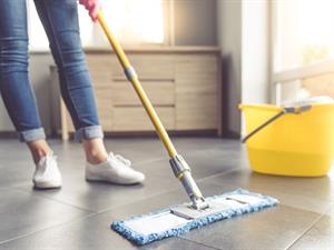 Shutterstock_510917479_cleaning_tīrīt kopt kārtot.jpg