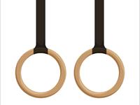 Shutterstock_393845737_gymnastic rings_vingrošanas riņķi.jpg