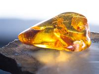 Янтарь_Dzintars_Amber.jpg