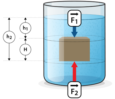 Farhimeda celonis.png