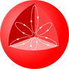 YCUZD_251001_3689_67.png