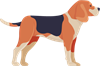 YCUZD_230709_5338_der Hund.png