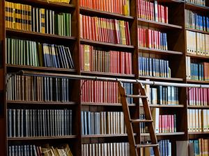 shutterstock_2622816669_bookshelf_grāmatu plaukts.jpg