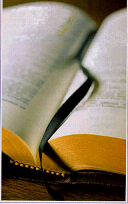 bible.bmp