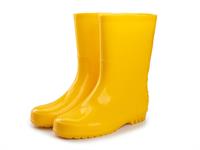 shutterstock_2198381895_rubber boots_gumijas zābaki.jpg