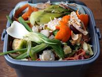 shutterstock_554954620_food waste_ēdienu atkritumi.jpg