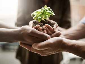 shutterstock_2186931161_holding plant in hands_tur augu rokās.jpg