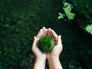 shutterstock_2350303869_green environment_zaļa vide.jpg