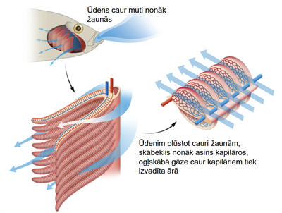 Screenshot 2026-03-10 104730.png