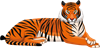 YCUZD_230709_5338_picture_der Tiger.png
