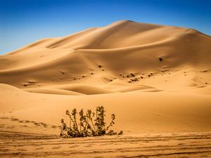 shutterstock_600587588.jpg