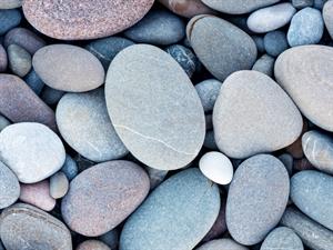 Shutterstock_528898111_pebbles_oļi.jpg