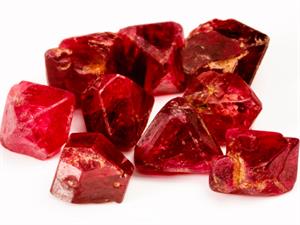 Shutterstock_107301275 (1).jpg