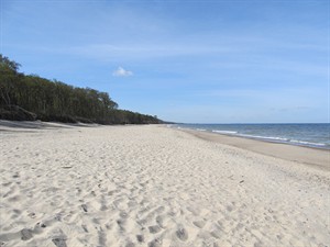 shutterstock_1605584032_Baltic Sea beach_Baltijas jūras pludmale.jpg