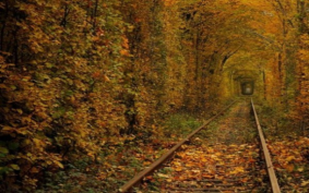 клевань укр.png