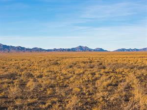 shutterstock_2241972495_Kazakhstan steppe_Kazahstānas stepes.jpg