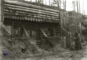 jaunsaimnieki pie zemnīcas Ludzas apriņķī.jpg